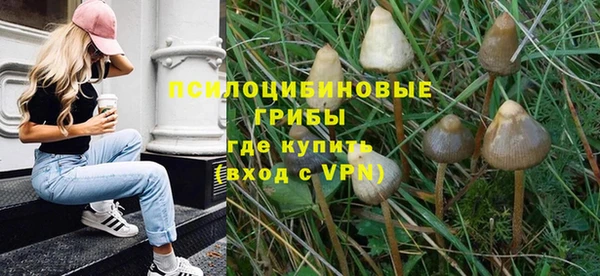 PSILOCYBIN Абдулино