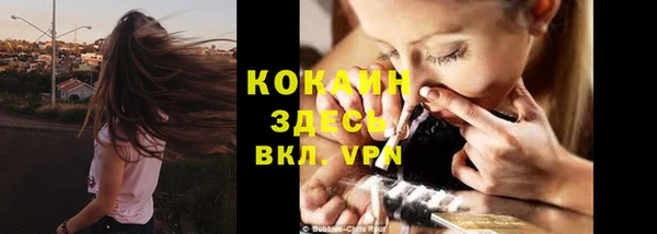 дживик Абаза