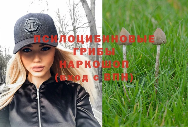 PSILOCYBIN Абдулино