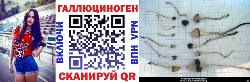 Галлюциногенные грибы мицелий  Павловский Посад 